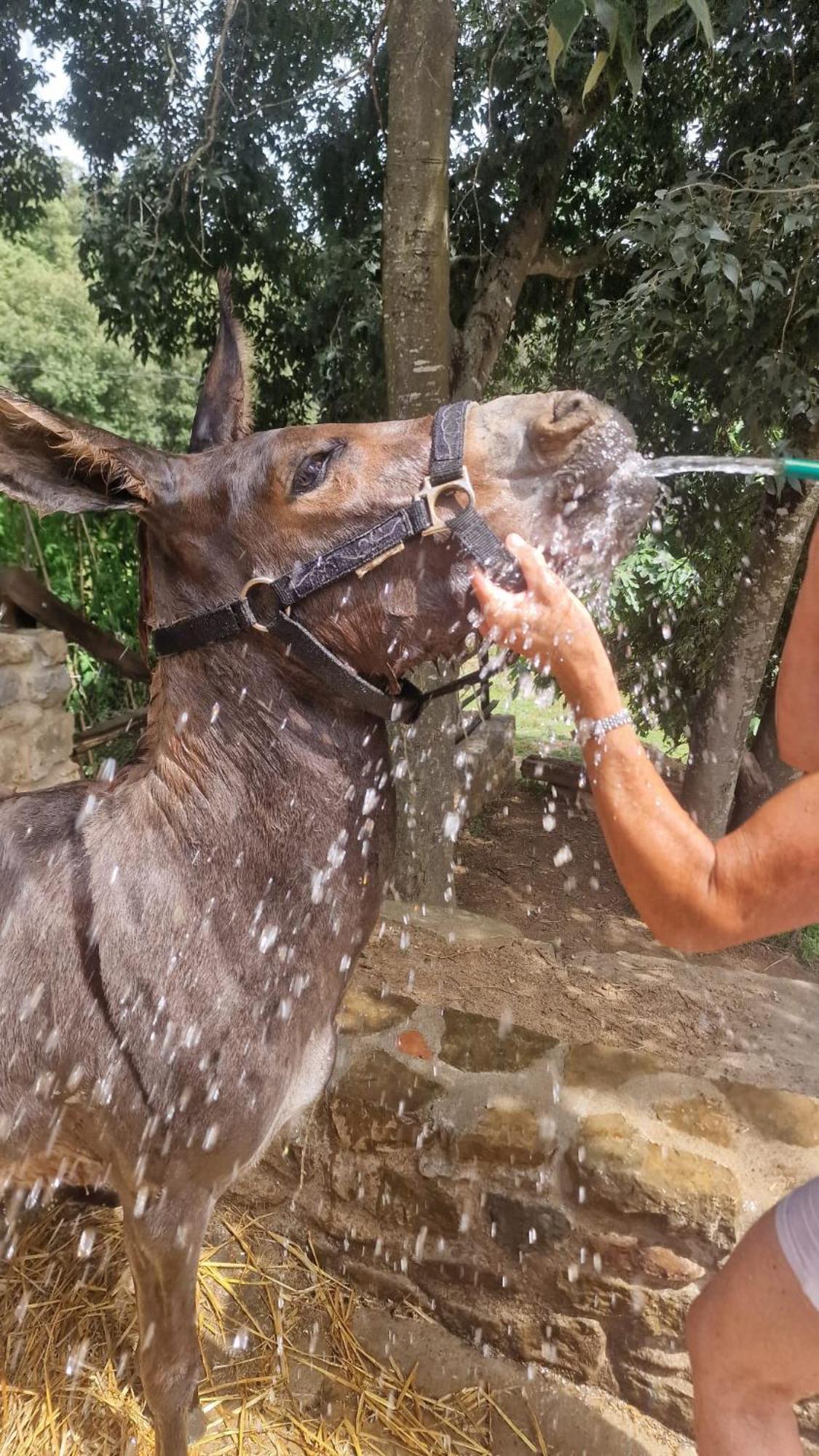 Willa El Raco Dels Mussols 1 Canet de Adri Zewnętrze zdjęcie