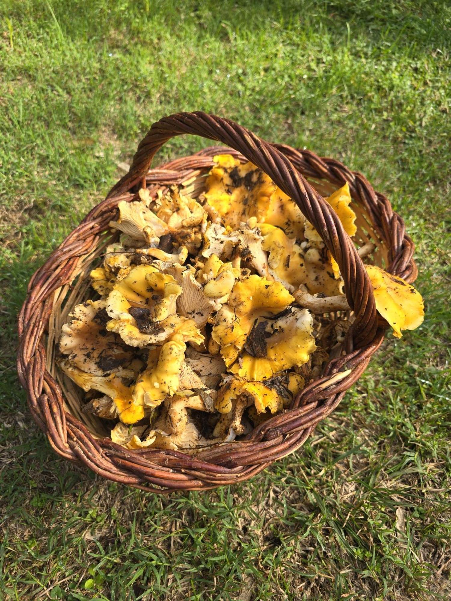 Willa El Raco Dels Mussols 1 Canet de Adri Zewnętrze zdjęcie