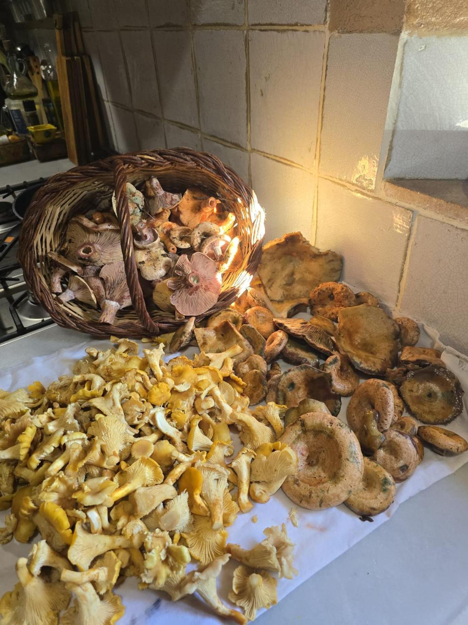 Willa El Raco Dels Mussols 1 Canet de Adri Zewnętrze zdjęcie